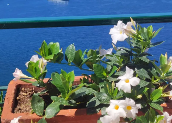 Giardino 21 Marzo