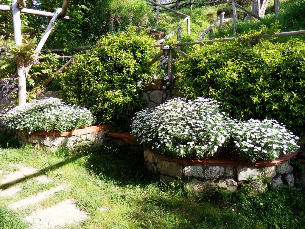 Giardino 21 Marzo 3*
