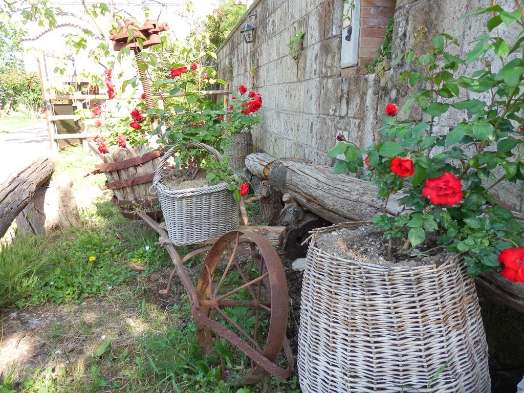 Giardino 21 Marzo Alojamento de Acomodação e Pequeno-almoço