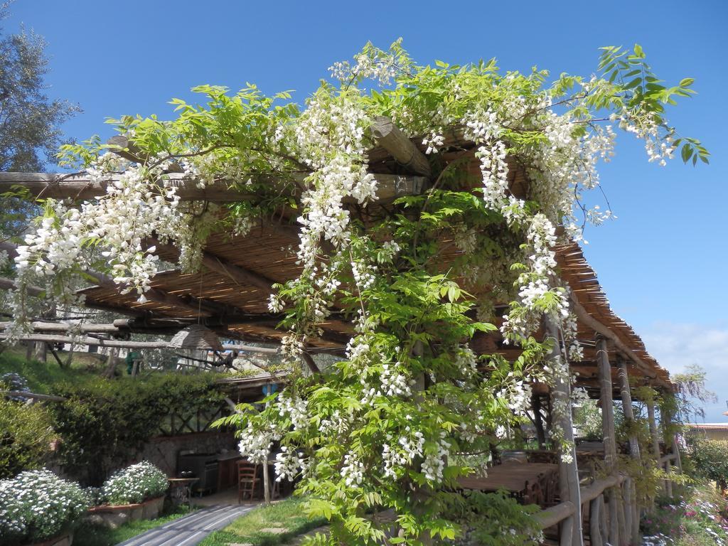Alojamento de Acomodação e Pequeno-almoço Giardino 21 Marzo
