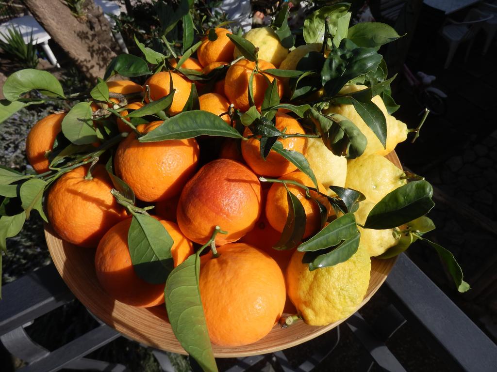 Alojamento de Acomodação e Pequeno-almoço Giardino 21 Marzo 3*