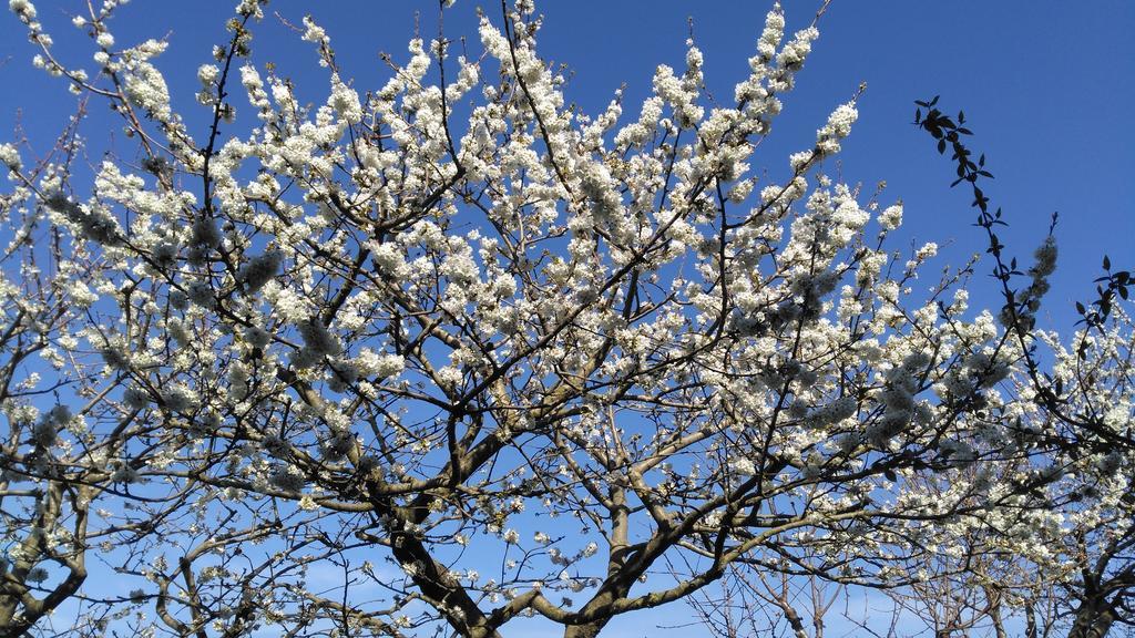 Giardino 21 Marzo 3* Vico Equense