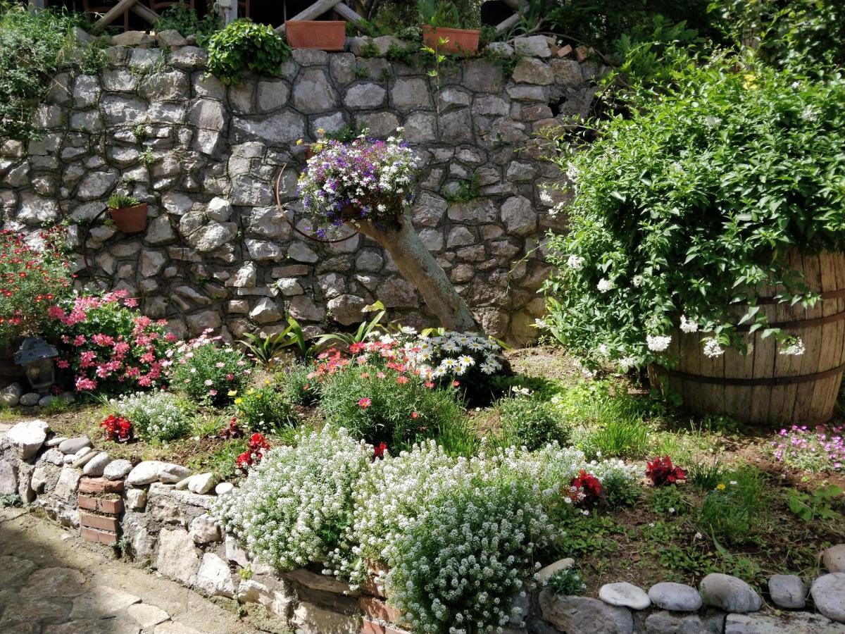 Giardino 21 Marzo Alojamento de Acomodação e Pequeno-almoço
